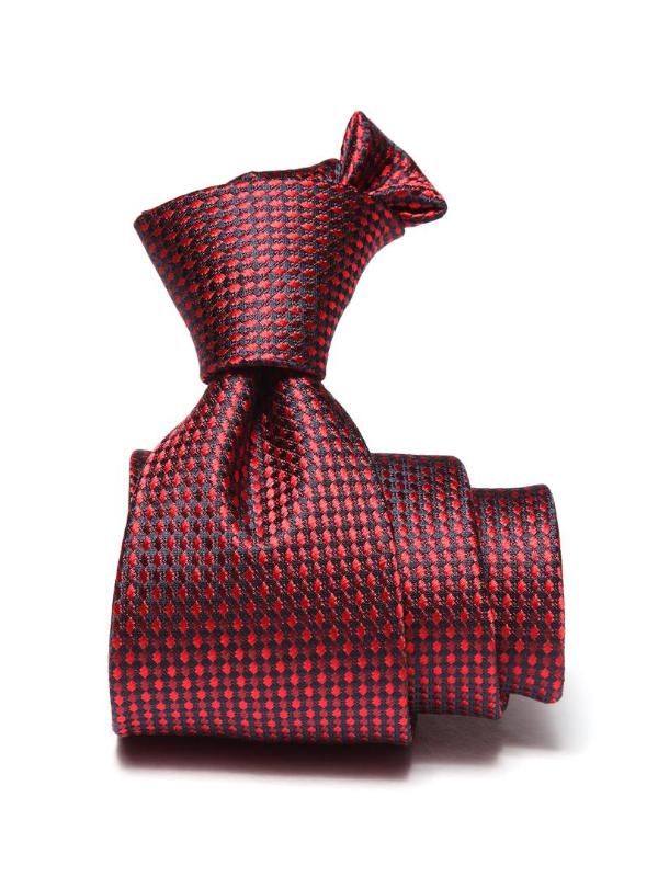 Campania Structure Dark Red Silk Tie