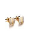Silver & Gold Steel Cufflinks