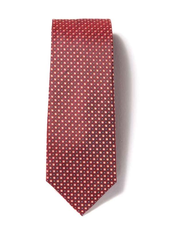 Florentine Minimal Dark Maroon Silk Tie