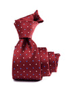 Campania Structure Dark Maroon Silk Tie