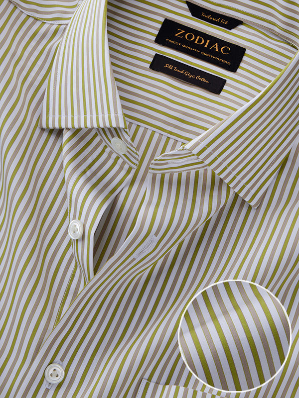 zodiac_shirts_barboni4_tf_z1_100_cotton_stripe_072_fssc_cac_olive_22_01_a_01.jpg
