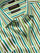Vivace Green Striped Full Sleeve Single Cuff Tailored Fit Semi Formal Silk Touch Egyptian Giza Cotton Shirt