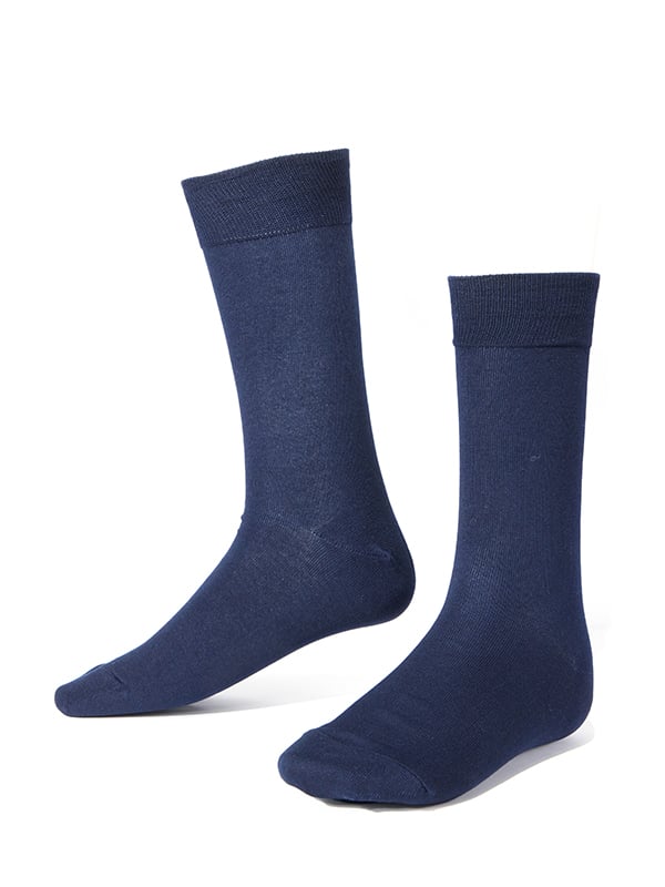 ZODIAC Navy Moderna Socks